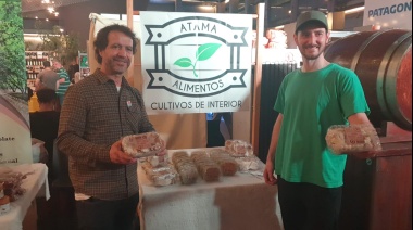 Los hongos del fin del mundo llegaron al CCK