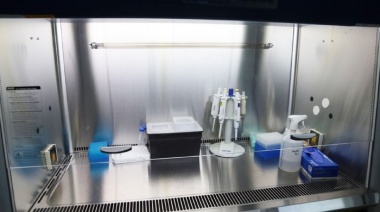 Coronavirus: Los análisis de las muestras ya se realizan con los kits enviados por Nación