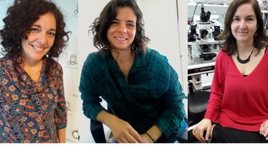 Tres científicas argentinas ganaron un prestigioso premio internacional por sus estudios en cáncer y memoria