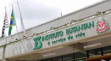 Brasil: investigan una cura contra el cáncer en base al veneno de una araña