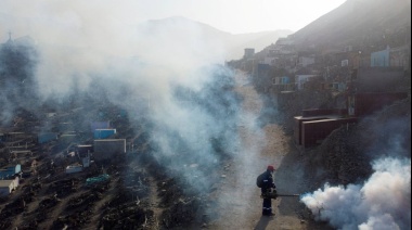 Por qué hay cada vez más enfermedades infecciosas en el mundo