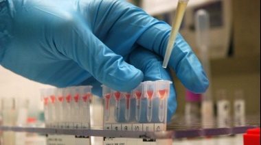 La edición genética corrige prenatalmente enfermedades metabólicas