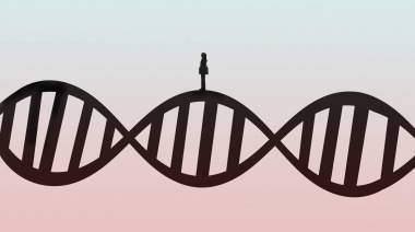 Qué dicen los test genéticos de la salud y la enfermedad