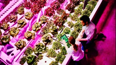 Nutrigenética: Vivir hasta los 150 años sería un hito posible