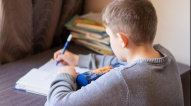 Cambios en la "Ley ómnibus": negaron que se incluya el "homeschooling"