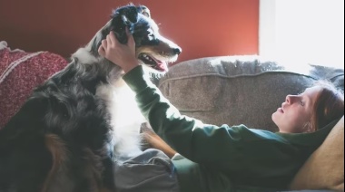 Los riesgos de humanizar a los perros y los gatos