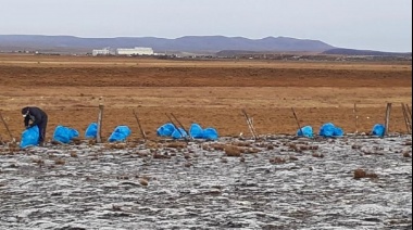 El Municipio salda una deuda con el ambiente y la reserva costa atlántica