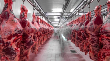 China: Detectaron coronavirus en un empaque que llevaba carne argentina