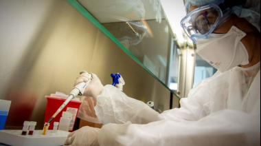 El estudio determinó una "alta probabilidad" de que sea viruela símica