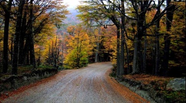 Nación destinará más de 500 millones de pesos para obras en el Parque Nacional TDF