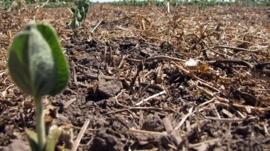 Quiénes son los más perjudicados por el clima extremo que afecta al campo y provoca pérdidas millonarias en todo el país