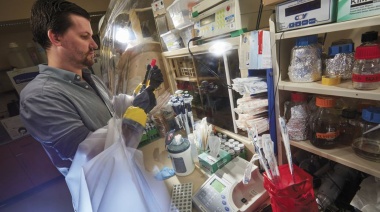 Una bacteria habitual en el intestino humano, señalada como presunta causante del cáncer de colon y recto