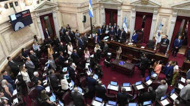 El Senado convirtió en ley la suspensión de las PASO