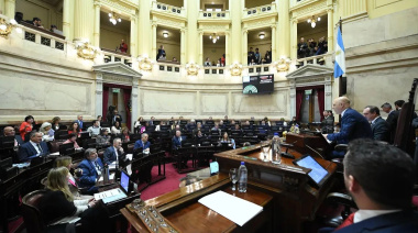 El Senado rechazó el veto en Discapacidad y la ley deberá ser promulgada