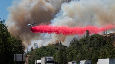 Ola de calor: Más de 400 muertos en Canadá y 80 en EE.UU. en medio de temperaturas récord