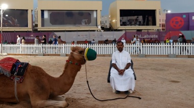 Qué es la "gripe del camello", el virus que joroba a Francia y tiene en alerta a Qatar