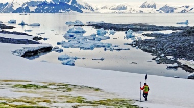 "Nieve verde": el fenómeno que está tiñendo a la Antártida por el cambio climático