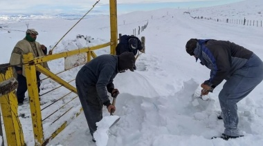 Una “muralla”, la causa de uno de los peores inviernos de la Patagonia en 20 años