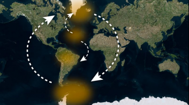 La cadena de interacciones de la que puede depender el futuro del planeta