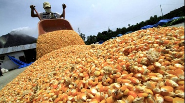 Bolsonaro garantizó que no se verán afectadas compras de trigo a la Argentina