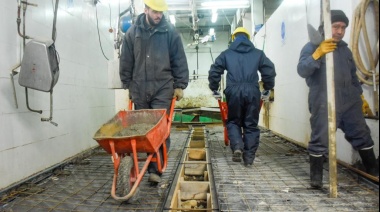 Avances en la obra del matadero Municipal