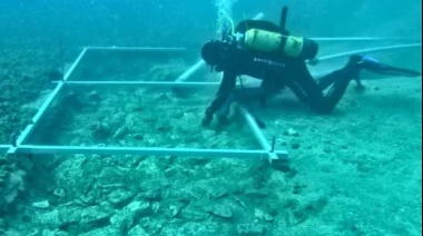 Increíble hallazgo en el fondo del mar: Arqueólogos encontraron un camino de 7 mil años de antigüedad en las costas de Croacia