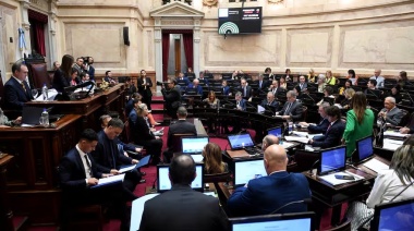 El patrimonio de los senadores: el más rico, el que tiene una abultada cuenta en dólares y los que poseen más vehículos