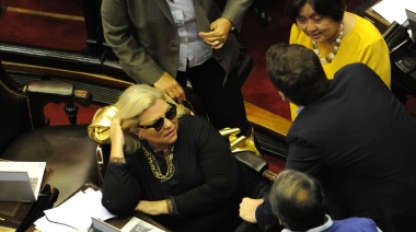 Carrió pide que el protocolo de uso de armas para la Policía pase por el Congreso