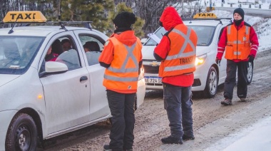 Verifican las condiciones de taxis y remises que trabajan con turistas