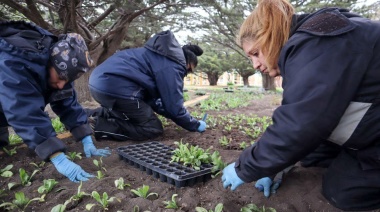 El Municipio interviene los espacios al aire libre.