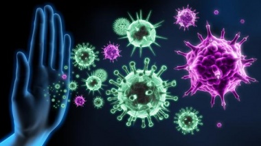 La inmunidad al coronavirus dura al menos cinco meses, según estudio