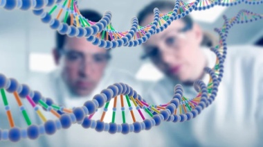 ¿La altura de una persona se debe sólo a la genética?