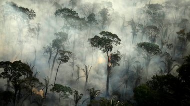 “El planeta no soporta más; esto se nos va de las manos”: la mirada de 15 figuras sobre el cambio climático