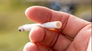 Dejar de fumar permite a los pulmones regenerar las células dañadas por el tabaco
