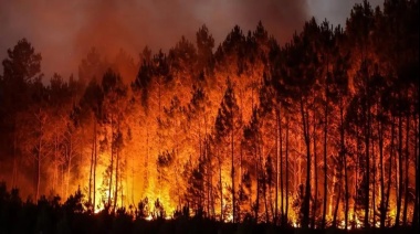“No hay política ni gestión nacional para combatir incendios”