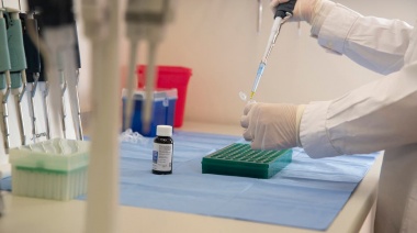 Epilepsia refractaria: un tratamiento del Garrahan con cannabis logró el 80% de efectividad
