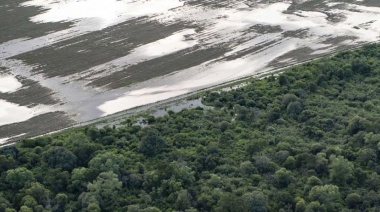 La deforestación ilegal en Chaco dejó más de 50 mil hectáreas arrasadas