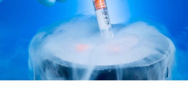 Debate sobre los embriones no implantados: un proyecto de ley busca regular sus usos
