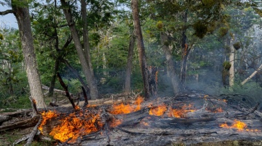 “Es necesario entender que el riesgo de hacer fuego hoy en Tierra del Fuego es enorme”