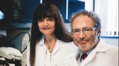 Dos argentinos lideran ensayo clínico de nuevo tratamiento contra un tipo de cáncer de cerebro