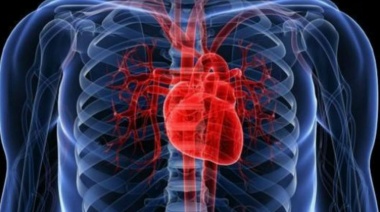 Qué dicen los primeros datos locales sobre el impacto cardiovascular del Covid-19
