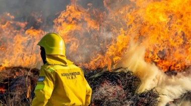 A dos meses de iniciado, aún no logran extinguir un incendio forestal en Tierra del Fuego