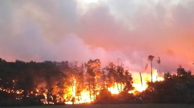 Incendio en "Corazón de la Isla": "Tiene unos 10 kilómetros de desarrollo y 1,5 kilómetros de amplitud"