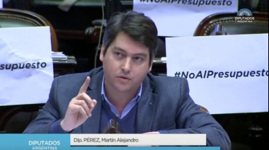 Martín Pérez: "Voté en contra del ajuste y el empobrecimiento de los hogares"