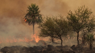 Incendios en Corrientes: Reciben ayuda de otras provincias y cada vez más gente se autoevacúa