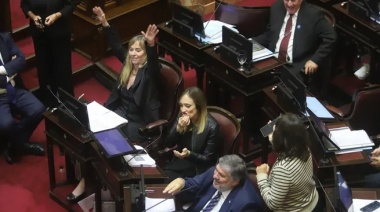 Por un voto el Senado rechazó Ficha limpia