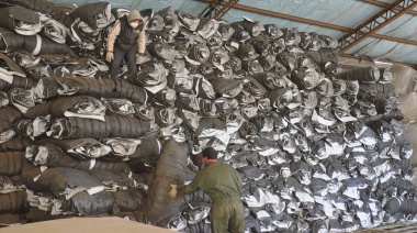 HITO HISTÓRICO: Se concretó la primera exportación de turba industrializada en la provincia