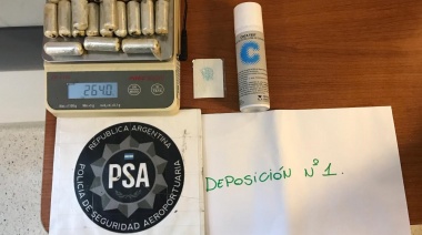 Otra “mula” que se dirigía a Río Grande fue detenida por la PSA