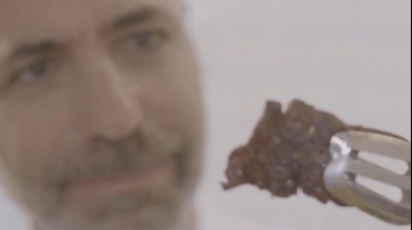 Cultivan por primera vez carne en el espacio