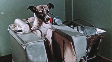 La increíble odisea de Laika, la perrita "pionera" enviada a morir al espacio